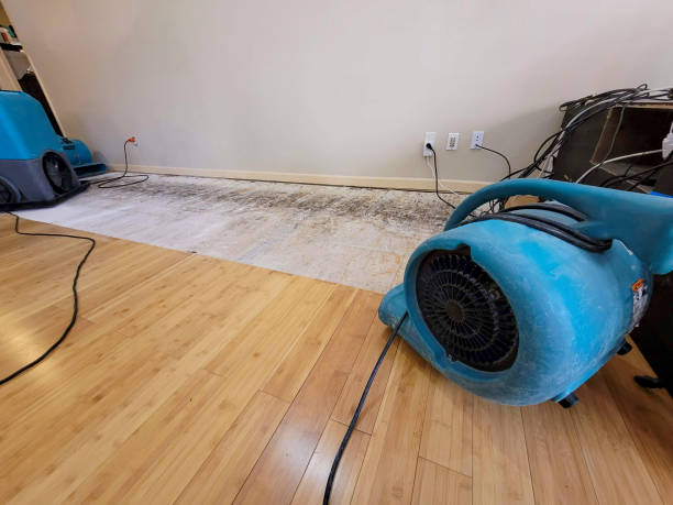 Professional Ceiling Water Damage Repair technician working in Lecompton, KS