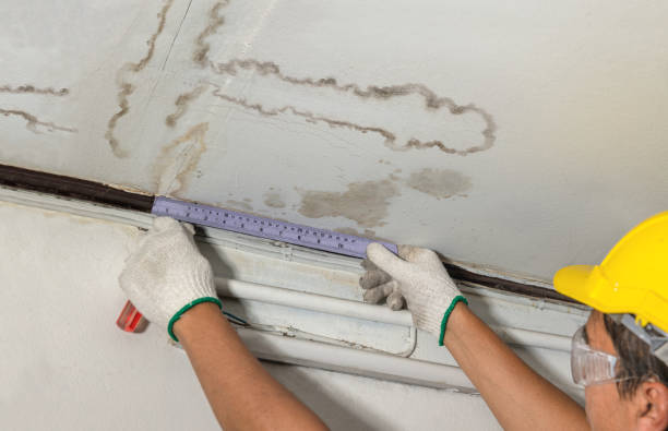 Affordable Ceiling Water Damage Repair solutions in Lecompton, KS